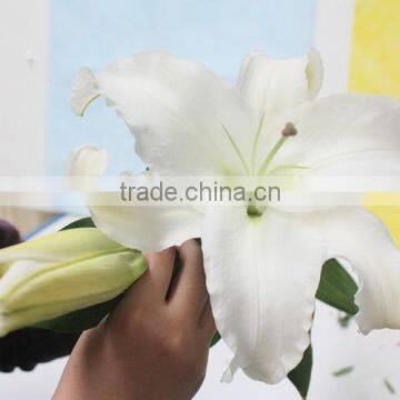 Alibaba china factory direct real touch latex flower lilies