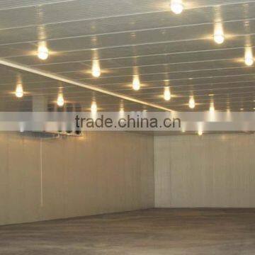 YEMOO Clean Energy Solar Power Blast Freezer Cold Storage for Meat photo-5