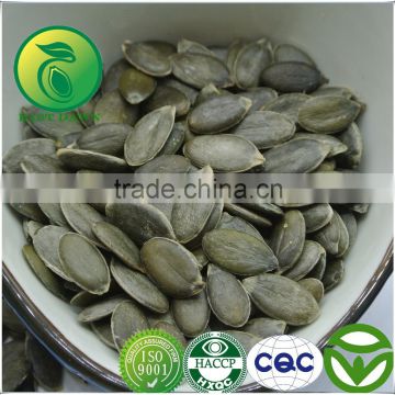 Certified! Pumpkin Seeds Kernels GWS Grade A