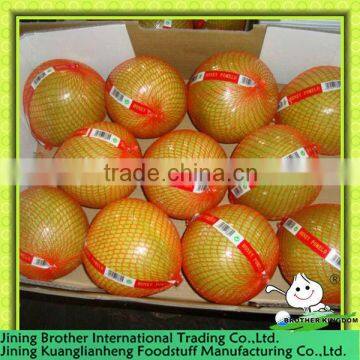 2013 new crop honey pomelo