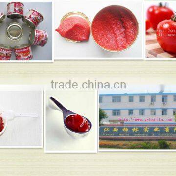 Popular products in Africa 800g canned thickness tomato puree of brix 28-30% Ethical Reliable manufacturer