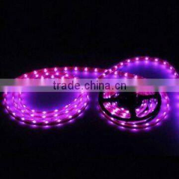 DC12V IP67 SMD 3528 flexible strip (SC-D901D)