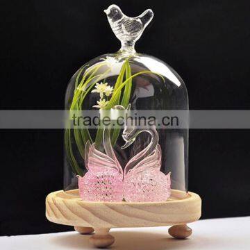 Glass Bell Dome With Wood photo-2