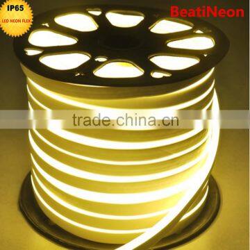 building lighting neon lamp -12v 24v