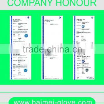 Arab Health Latex Surgical Gloves photo-2