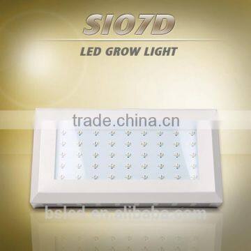 Factory Wholesale Advanced 10W 450nm Blue High Power Led Grow Light