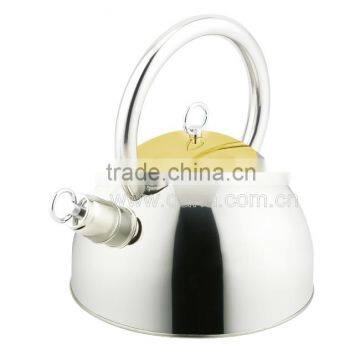 stainless steel water kettle/stainless steel tea pot