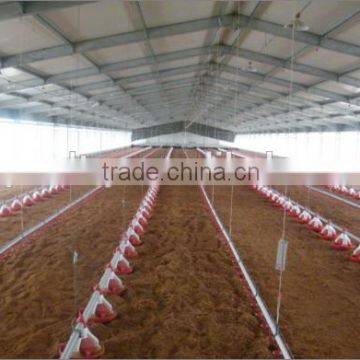 Broiler Chicken Poultry House