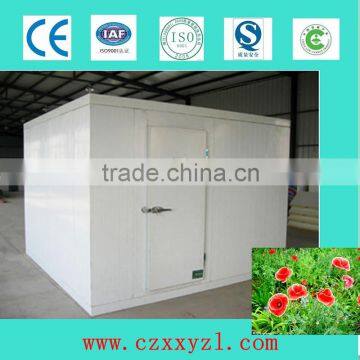 PU Insulated Wall Roof Ceiling Panels for Cold Storage/cool Room/chiller Room Supplier's Choice photo-6