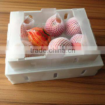 Transparent pp corrugated fruit box for apple