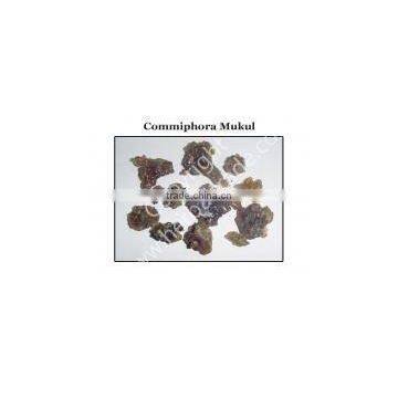 COMMIPHORA MUKUL EXTRACT