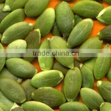 chinese best quality wholesale pumpkin seed kernels supplier