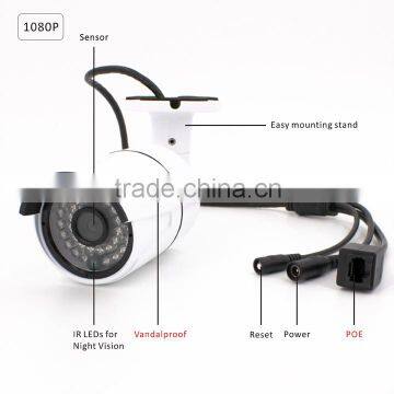 Weatherproof Indoor/Outdoor ip Network Camera photo-2