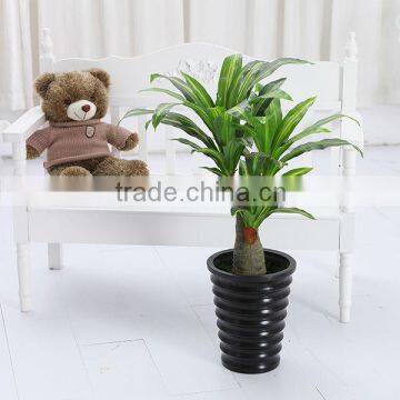 Artificial Dracaena Fragrans