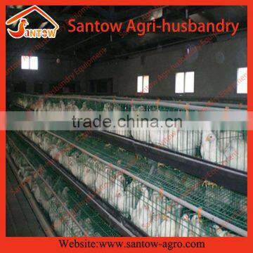 Design Modern Chicken Egg Layer Cages Poultry Cage photo-6