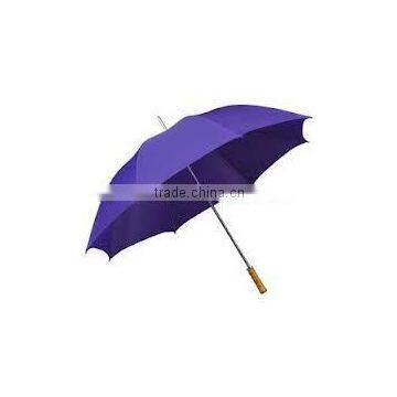 purple umbrellas