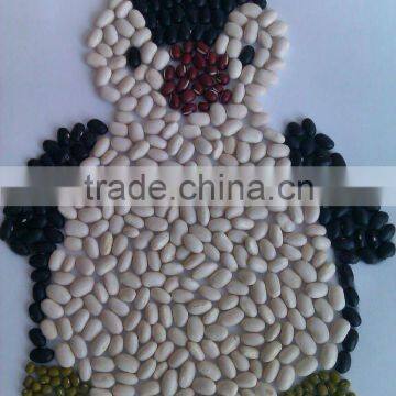 2012 Crop Japanese white kidney bean