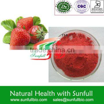 Pure natural Strawberry powder for fruit powder drinks