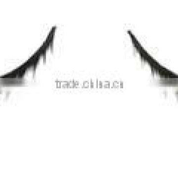 False Eyelash