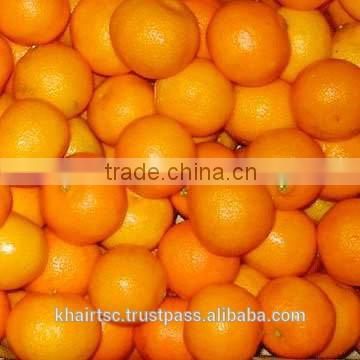 HIGH QUALITY EGYPTIAN ORANGE