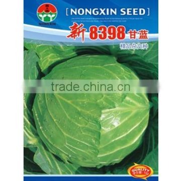 High Quality Chinese Hybrid Cabbage Seeds For Growing-New 8398