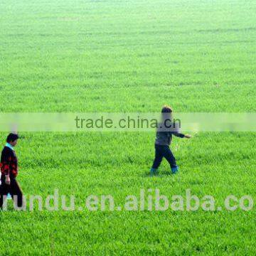 Urea Fertilizer Price Agricultural 46 photo-5