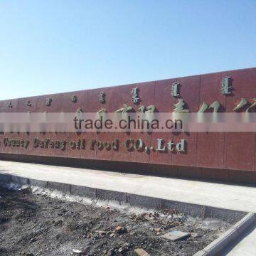 Chinese Hybrid Sunflower Seed for Planting photo-5