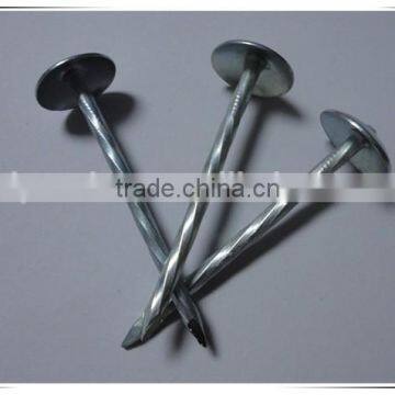 Cheaper Price Galvanized Roofing Nail With Umbrella Head photo-4