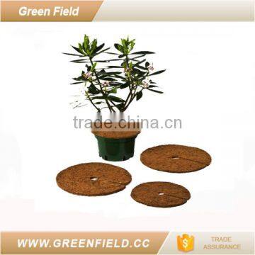 Coco Peat Disc Using for Seeding Nursery photo-2