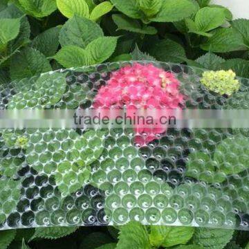 434 Cell, 353 Cell Colorful PVC Rice Seedling Tray Type photo-6