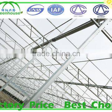 Commercial Frp Greenhouse for Agricultural photo-3