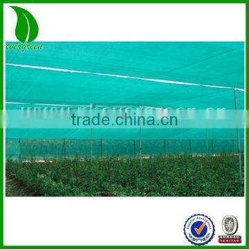 Green Shade Netting for Greenhouse Vegetable Growth With Good Price photo-2