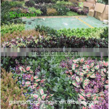 SJLJ013642 Factory Price Artificial Green Wall for Wall Decoration photo-6