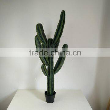 CHY030929 Landscaping Decprative Cactus/Real Touch Lucky Cactus Sale photo-2