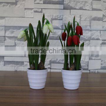 Table Artificial Mini Saussurea Flower Bonsai for Home and Commercial Decoration photo-5