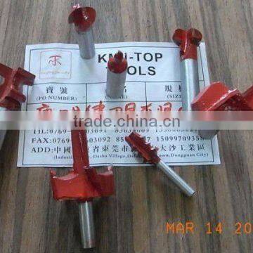 Spur Drill Bit/Drill Bit