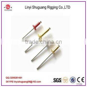 colour painted blind rivet