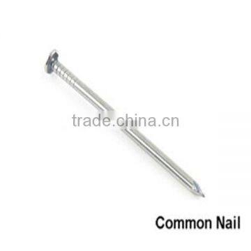 polished common iron wood nails