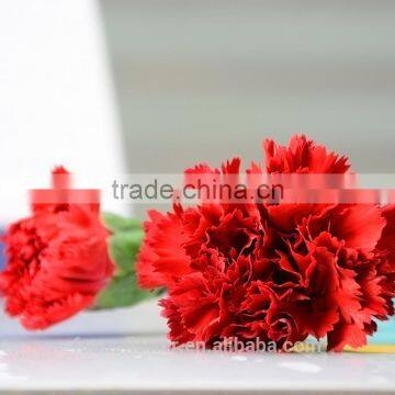 natural large bud size carnation cut flower prices for wedding