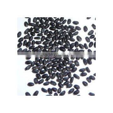 Basil Seeds photo-2