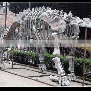 2016 museum equipment-simulation dinosaur skeleton dinosaur fossil for sale