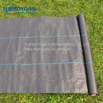 Agricultural Landscape Fabric Plastic Weed Control Mat for Greenhouse photo-4