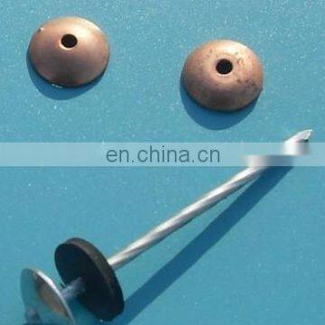 Zinc plated carbon steel roofing construction nails