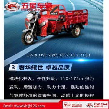 Gasoline Tricycle Cargo Loader Lovol Three Wheeler Mali Ethiopia Ghana Bukina Faso Tanzania Kenya Senegal Togo Benin Nigeira Mauritania Angola Burundi Chad Cameroon C ô te D'Ivoire Gabon Guinea Mozambique Rwanda Congo Uganda Zimbabwe photo-5