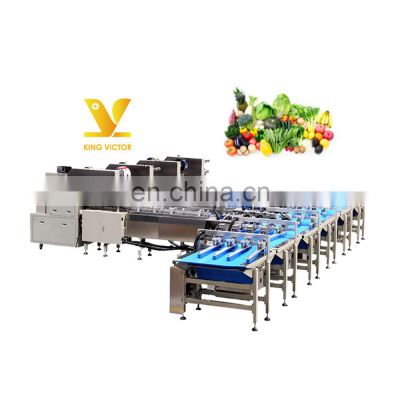 automatic professional designed vegetable and fruit packaging line machine