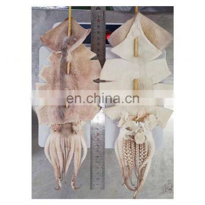 Hot sale snacks frozen squid skewer all size