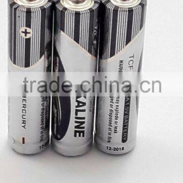 Aaa Alkaline Batteries Msds
