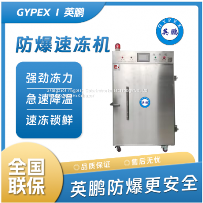 GYPEX · BL-100EX/SD Small household food preservation and quick freezing machine