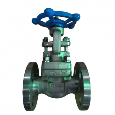 Hot Sell API 602 A105 Carbon Steel Outside Stem Gate Valve Dn50 Class 800 Flange Model J61H CHX Low Temperature Water photo-3
