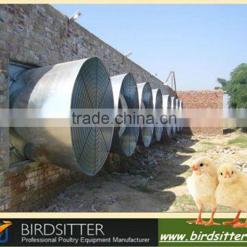Effective professional perfect chicken farm ventilation design
